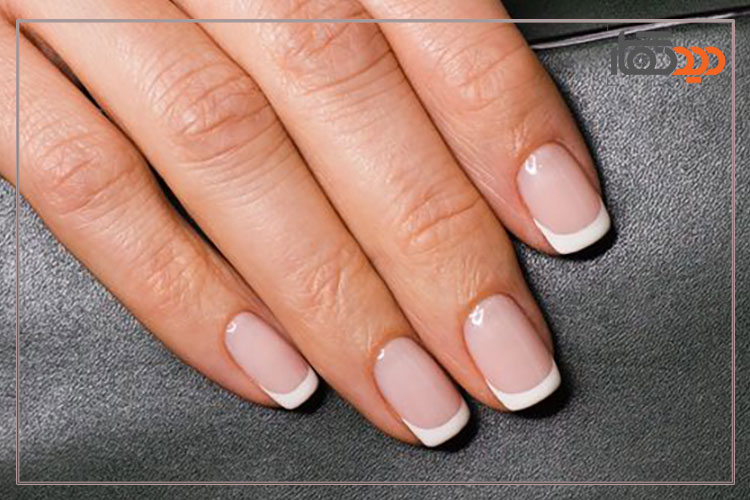 نمونه تصویر لنز موبایل Apexel APL-DG6