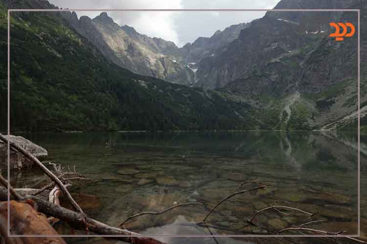 لنز کانن Canon RF 24mm f/1.4 L VCM Lens و کیفیت تصویر