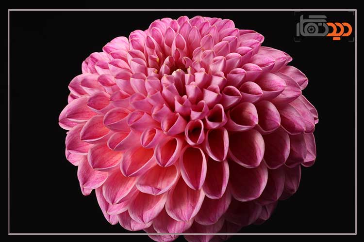 لنز کانن Canon RF 70-200mm f/2.8 L IS USM Z Lens Black و کیفیت تصویر