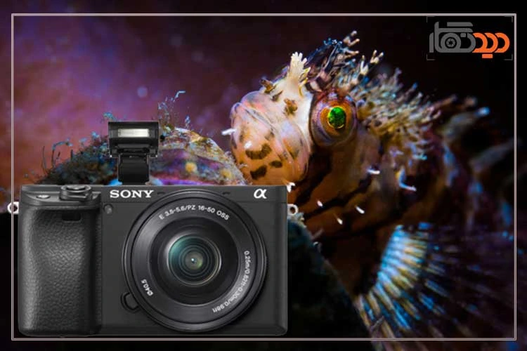 نقد و بررسی دوربین سونی A6400 و نمای روبرو