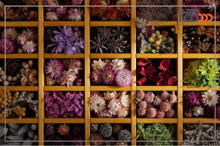 لنز سونی Sony FE 28-70mm f/2 GM Lens For Sony E و کیفیت تصویر