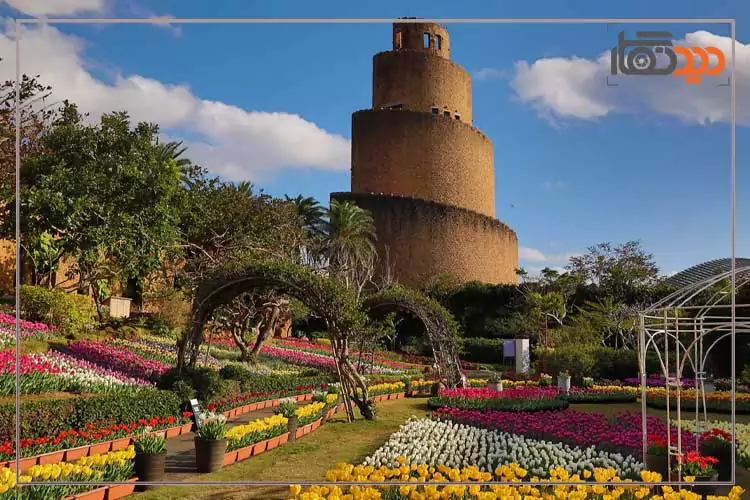 دوربین کانن r100 و عکاسی تولد