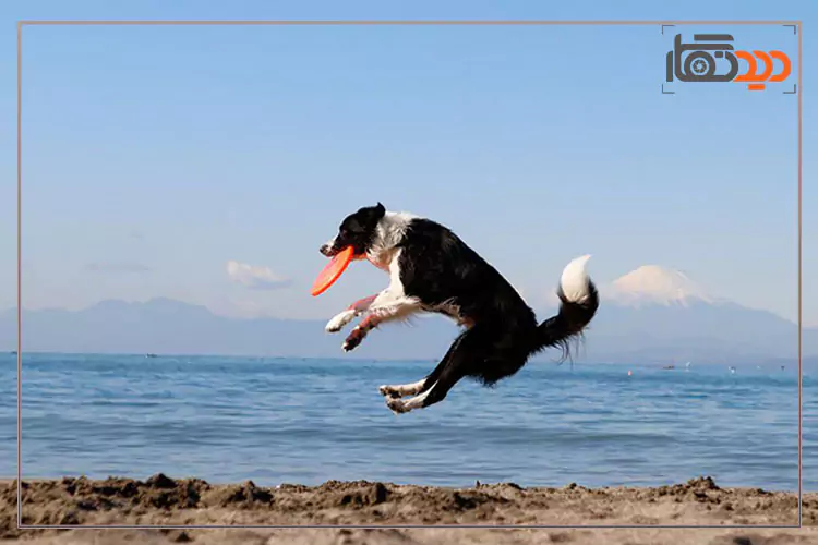 عکس گرفته شده با دوربین کانن 850D