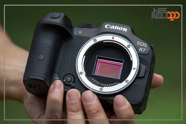 نقد و بررسی دوربین کانن R7 و دوربین در دست عکاس