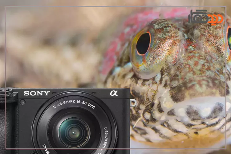 دوربین عکاسی سونی بدون آینه آلفا 6400