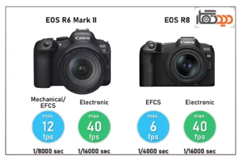 مقایسه دوربین R6 mark ii با R8