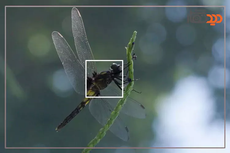  فوکوس در دوربین سونی A7R V