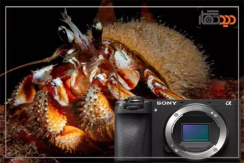 دوربین های آلفا 6400 و 6700 در عکاسی