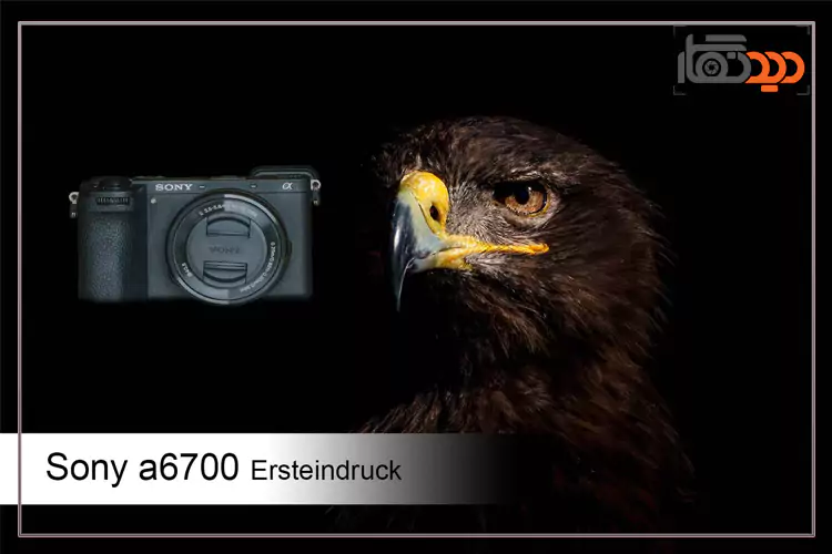 بدنه دوربین سونی آلفا A6700 در یک نگاه