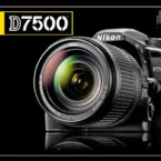 نقد و بررسی دوربین نیکون D7500 عکس 0