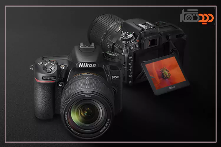 نقد و بررسی دوربین نیکون D7500 عکس 3