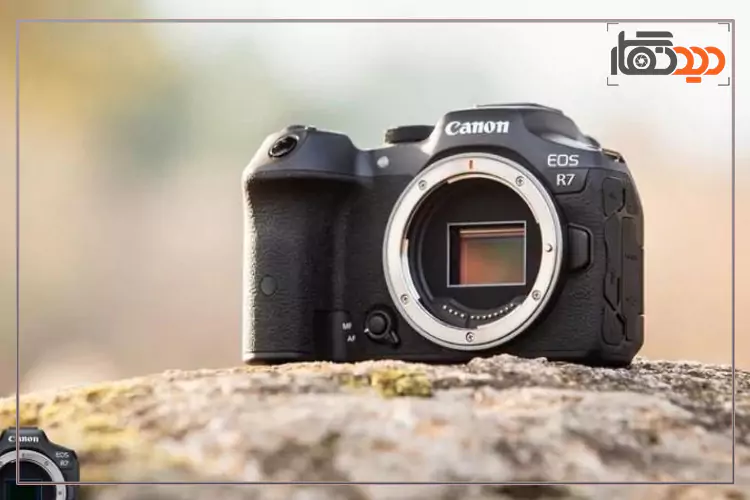مقایسه دوربین نیکون D7500 با کانن R7 عکس 3