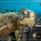 نقد و بررسی دوربین نیکون D780 عکس 1