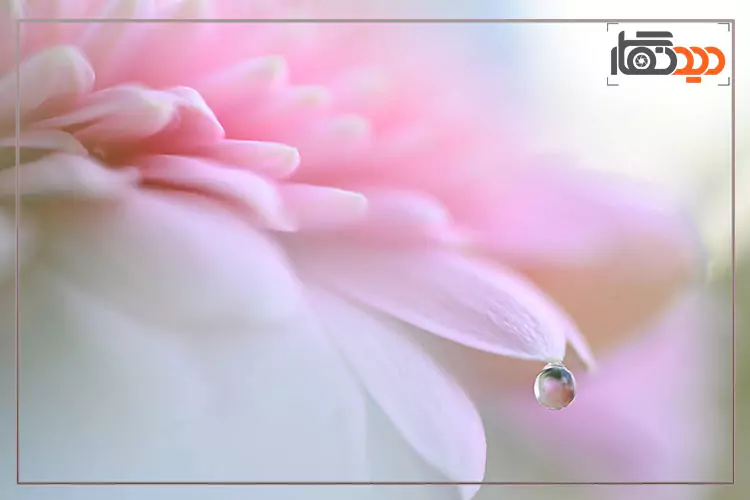 لذت عکاسی با دوربین Nikon Z6 III