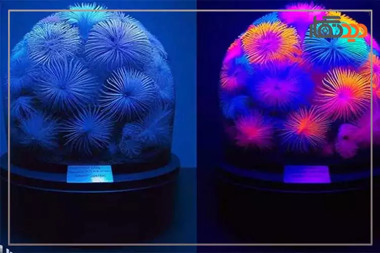 عکاسی از نورهای نامرئی عکس 4