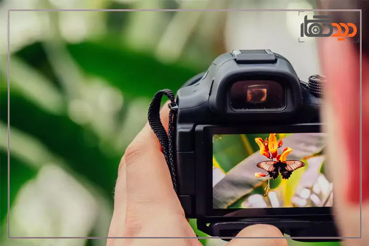 عکاسی میکروسکوپی عکس 5