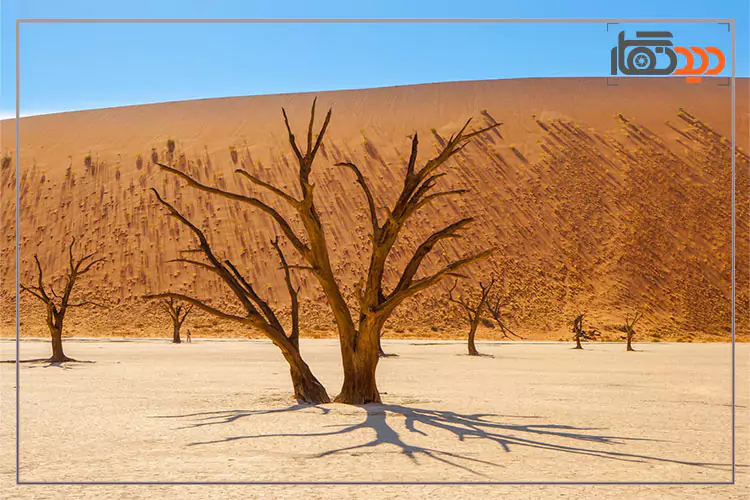 مسابقه عکاسی طبیعت 2025