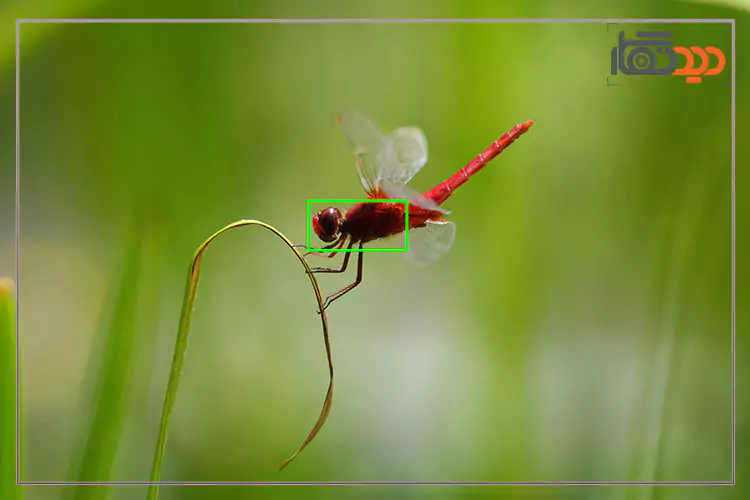 بهترین دوربین های 2025