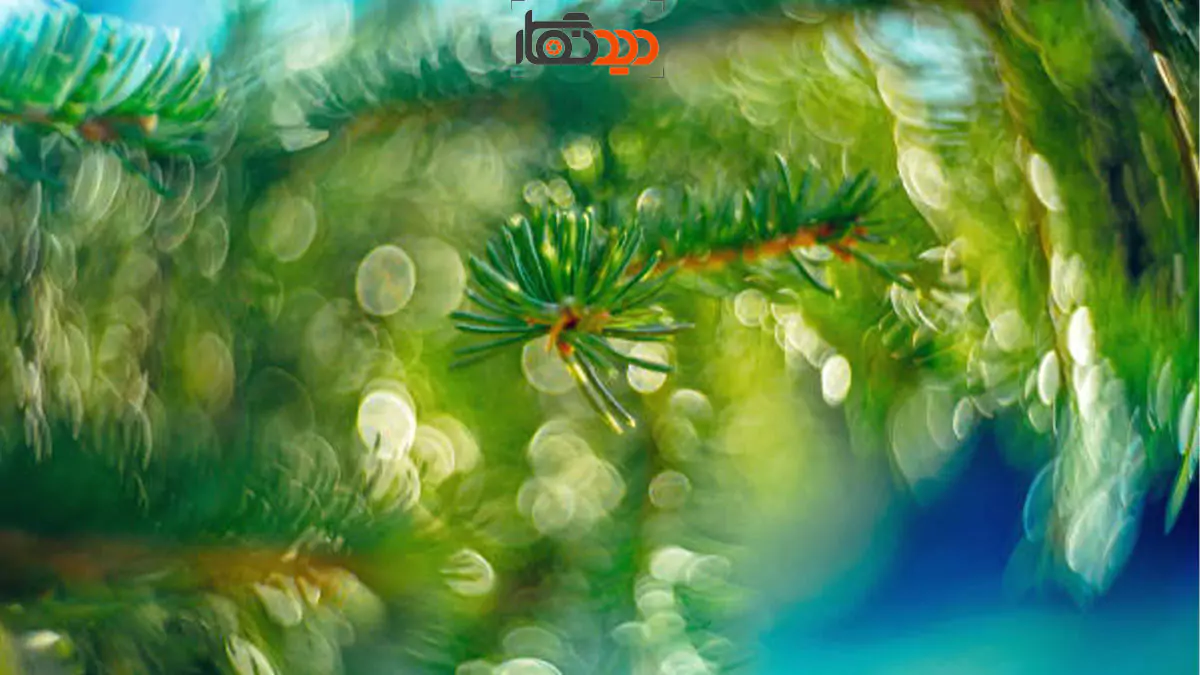 ترفندهای فتوشاپ عکاسی