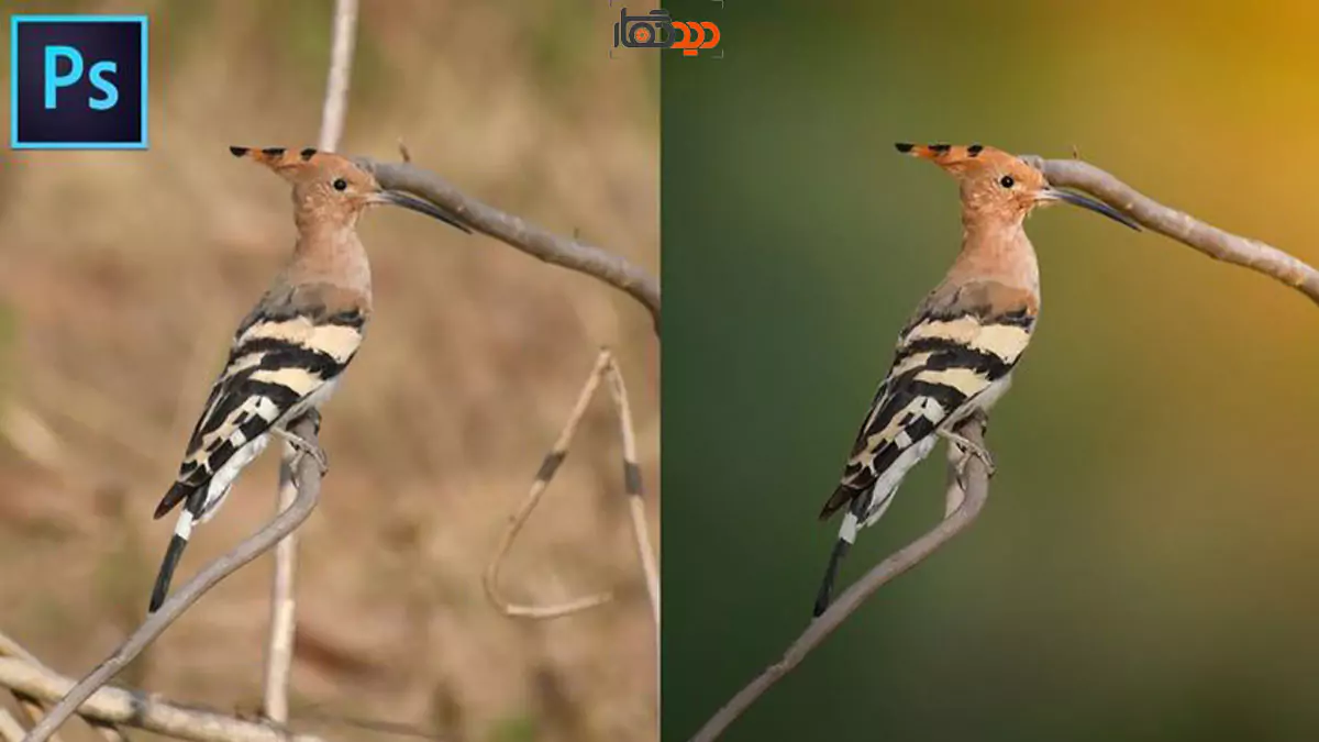 ترفندهای فتوشاپ عکاسی و تغییرات بینظیر