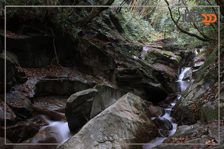 عکس گرفته شده با لنز کانن Canon RF-S 18-150mm