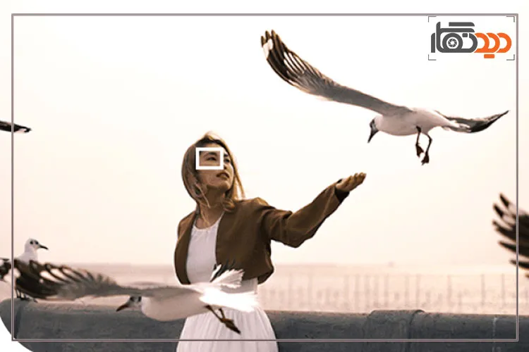 فوکوس خودکار دوربین فوجی Fujifilm X-S20 XF18-55mm Kit