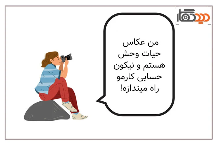 عکاسی حیات وحش با بهترین دوربین عکاسی nikon