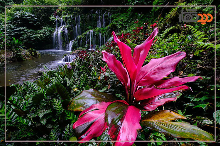 عکس گرفته شده با دوربین فوجی Fujifilm X-S20 XC15-45mm Kit