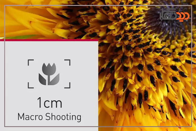 قابلیت ماکرو دوربین پاناسونیک Panasonic Lumix DC FZ82DE K