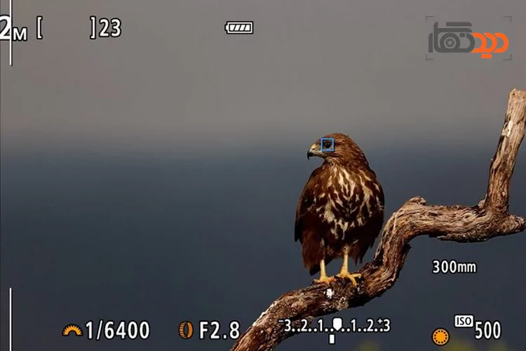 اتوفوکوس دوربین کنون عکس 1 ادعا