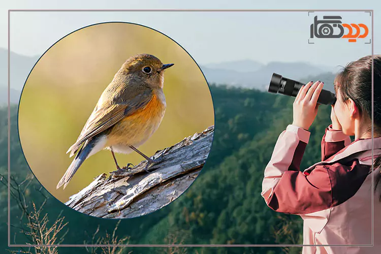 لنز تله زوم موبایل دریم لایت 38X