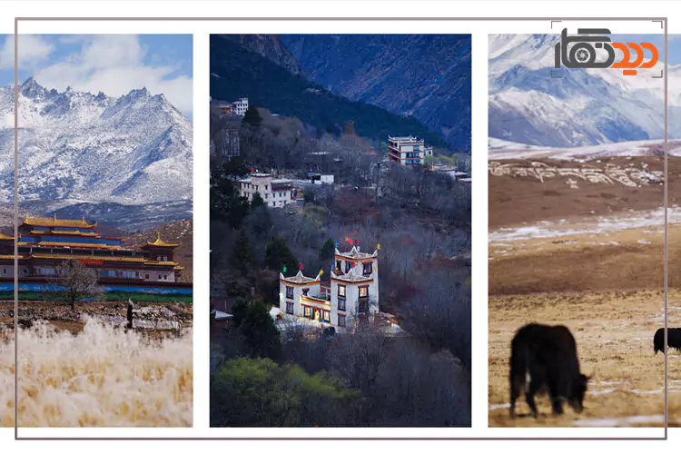 عکس های گرفته شده با لنز سیگما Sigma 200mm f/2 DG OS for Sony E