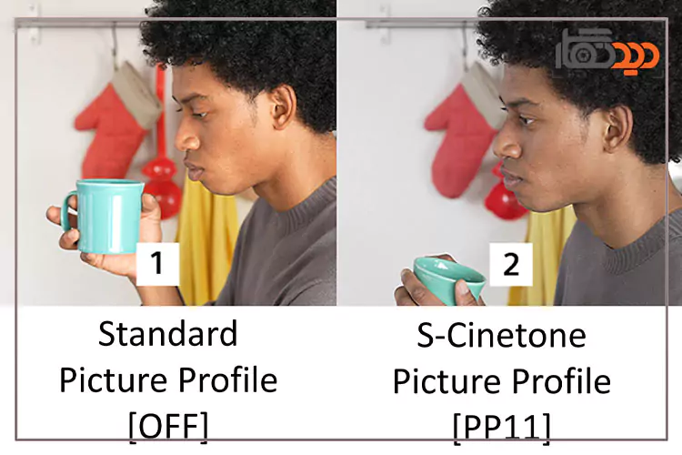 تفاوت S-Cinetone (PP11) با Standard (Off)