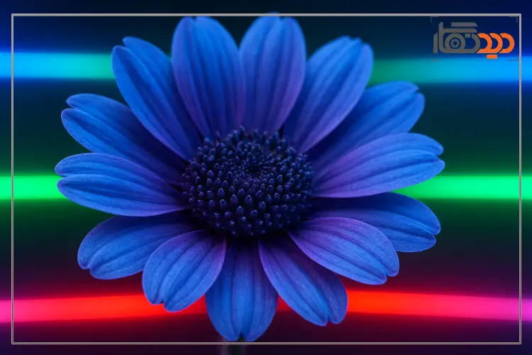 بهترین لنز برای دوربین کراپ سنسور