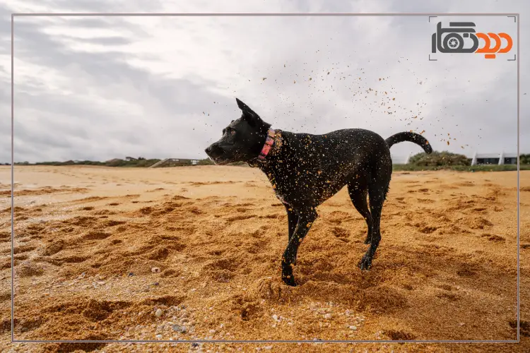 حفاظت از دوربین در ساحل