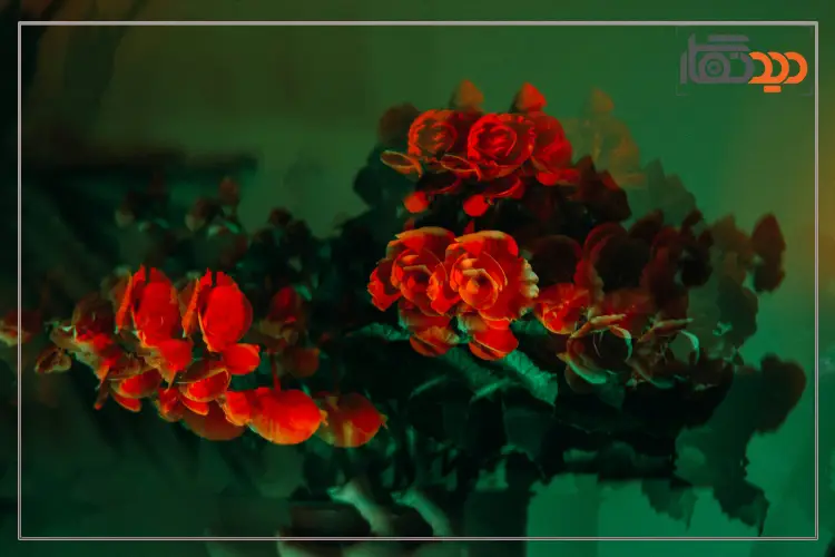 عکاسی پست مدرن