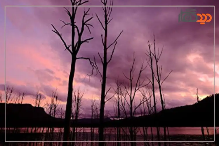 لنز Fujifilm Lens XF 16mm F1.4 R