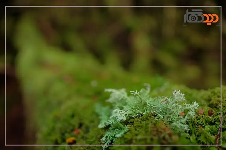 لنز Fujifilm Lens XF 16mm F1.4 R