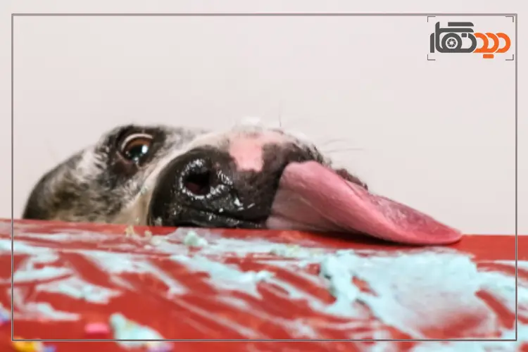 لنز Fujifilm Fujinon XF8mmF3.5 R WR