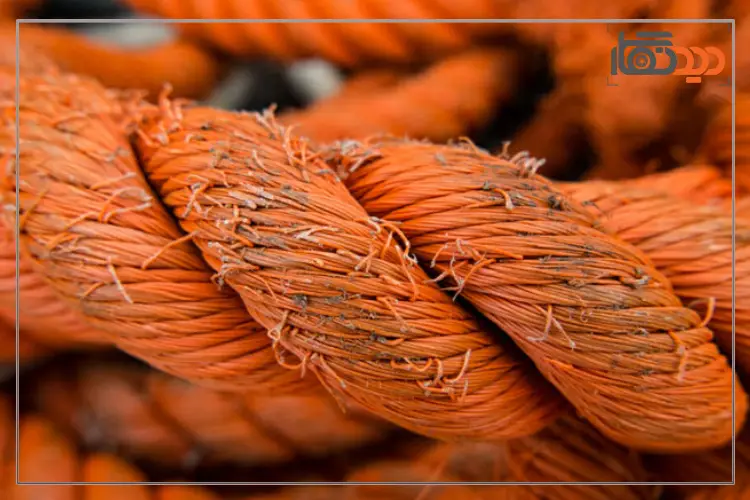 عکاسی از بافت