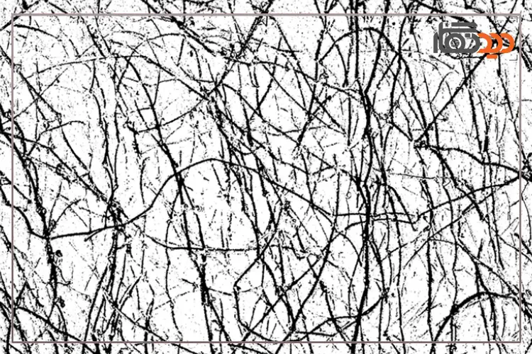 عکاسی از بافت