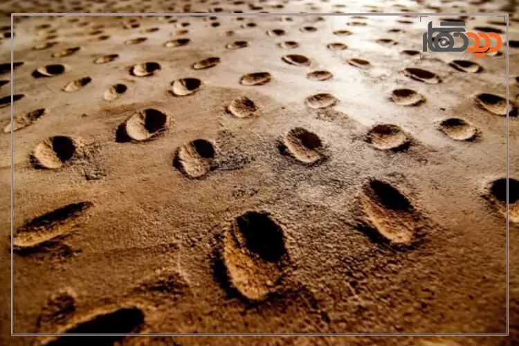 عکاسی از بافت