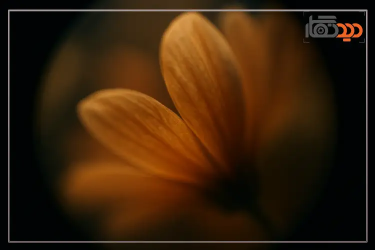 لنزهای اسفریکال سینمایی